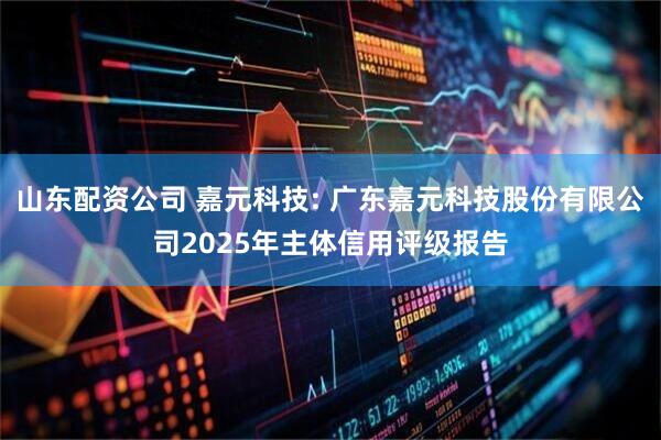 山东配资公司 嘉元科技: 广东嘉元科技股份有限公司2025年主体信用评级报告