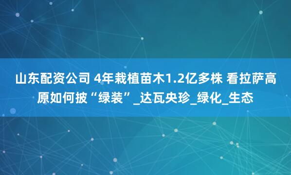 山东配资公司 4年栽植苗木1.2亿多株 看拉萨高原如何披“绿装”_达瓦央珍_绿化_生态