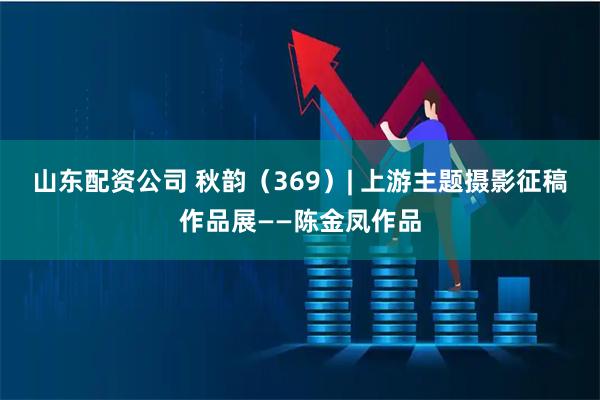 山东配资公司 秋韵（369）| 上游主题摄影征稿作品展——陈金凤作品